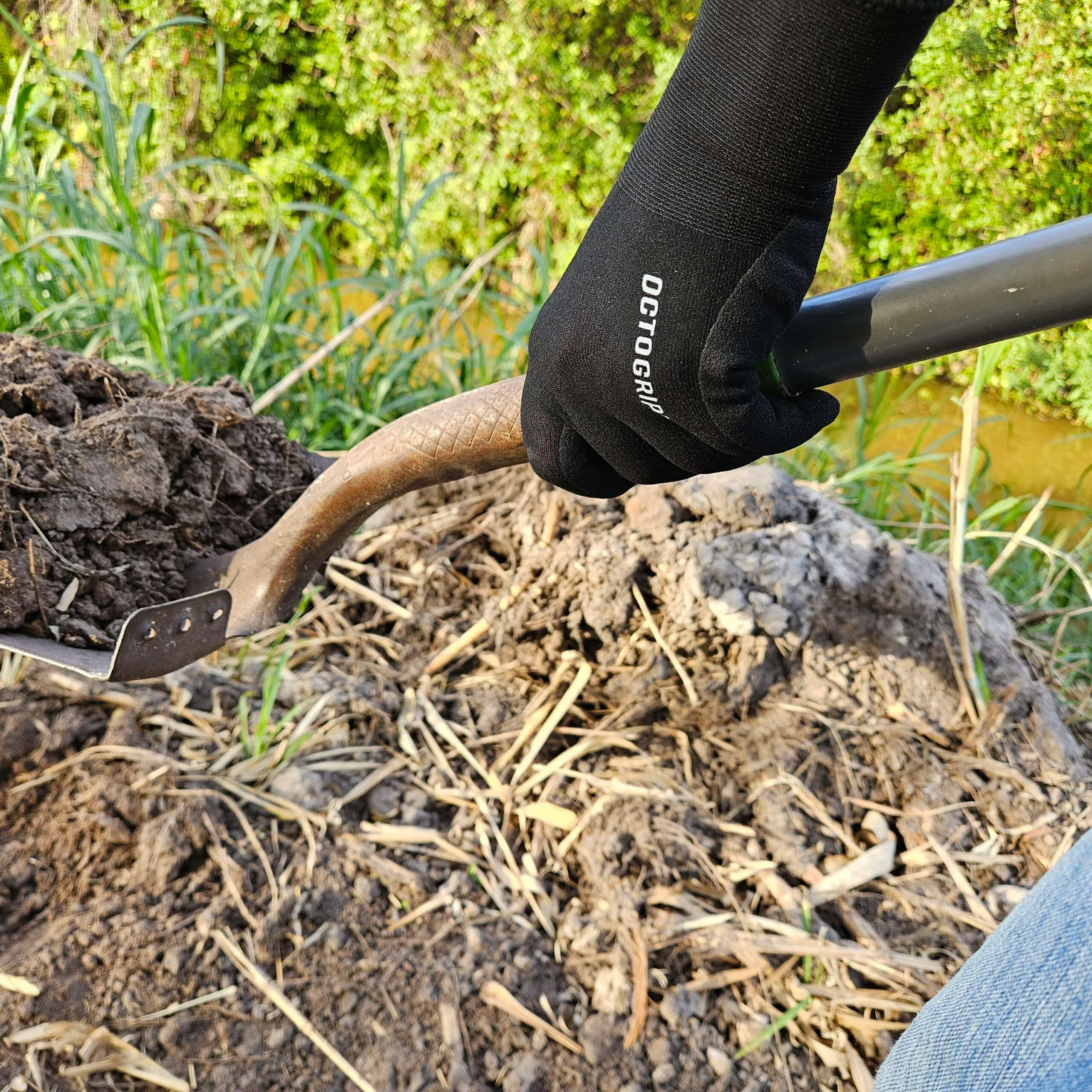 1938010_Lifestyle_for_JP_Online-1-scaled